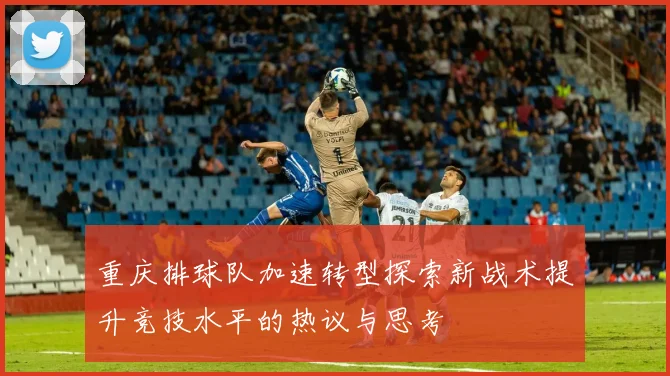 重庆排球队加速转型探索新战术提升竞技水平的热议与思考