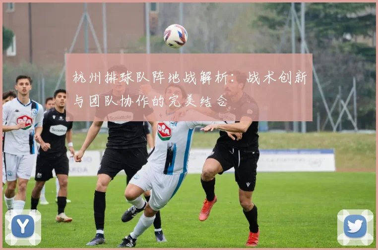 杭州排球队阵地战解析：战术创新与团队协作的完美结合