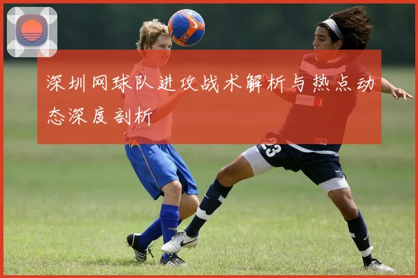 深圳网球队进攻战术解析与热点动态深度剖析