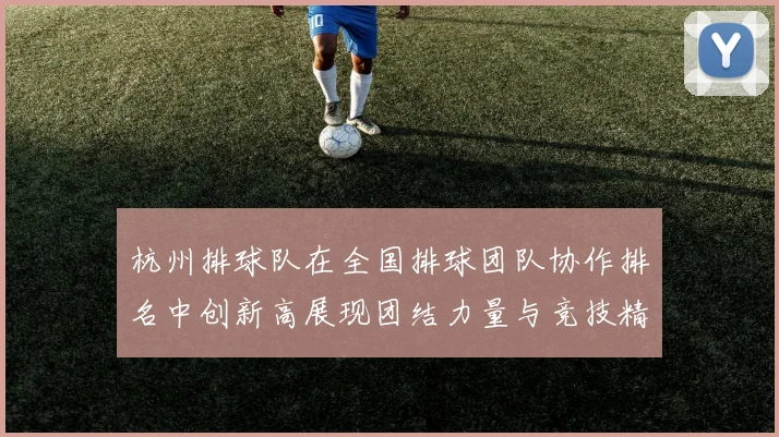 杭州排球队在全国排球团队协作排名中创新高展现团结力量与竞技精神