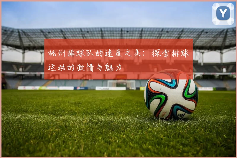 杭州排球队的速度之美：探索排球运动的激情与魅力