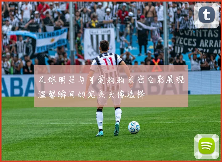足球明星与可爱狗狗亲密合影展现温馨瞬间的完美头像选择