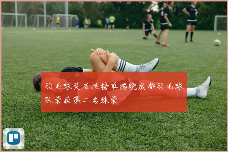 羽毛球灵活性榜单揭晓成都羽毛球队荣获第二名殊荣