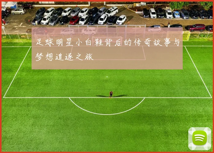 足球明星小白鞋背后的传奇故事与梦想追逐之旅
