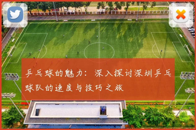 乒乓球的魅力：深入探讨深圳乒乓球队的速度与技巧之旅