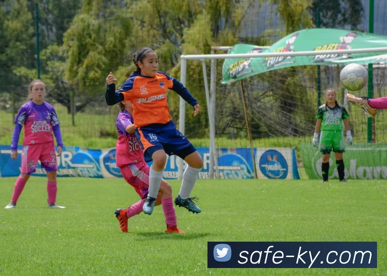 开云平台生态图